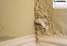 Jak osuszyć stare mury w domu przy użyciu preparatu